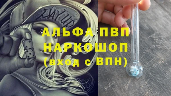 apvp Карпинск