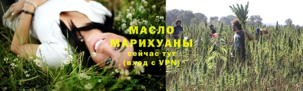 apvp Карпинск