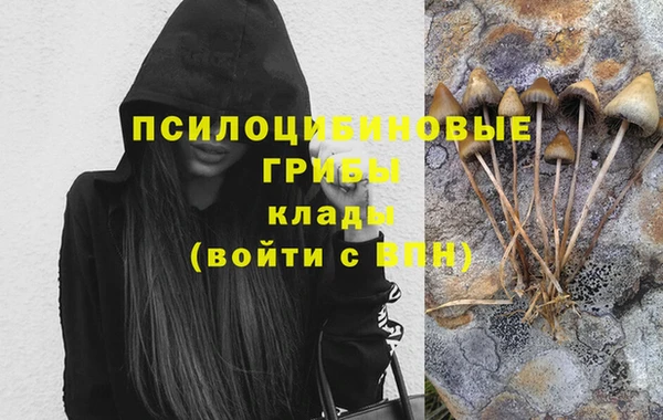 бутират Каменногорск